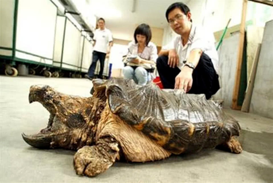 地方新闻 第50页