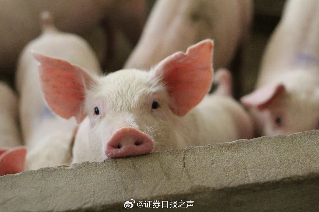 娱乐生活 第49页
