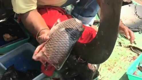 热点生活 第38页